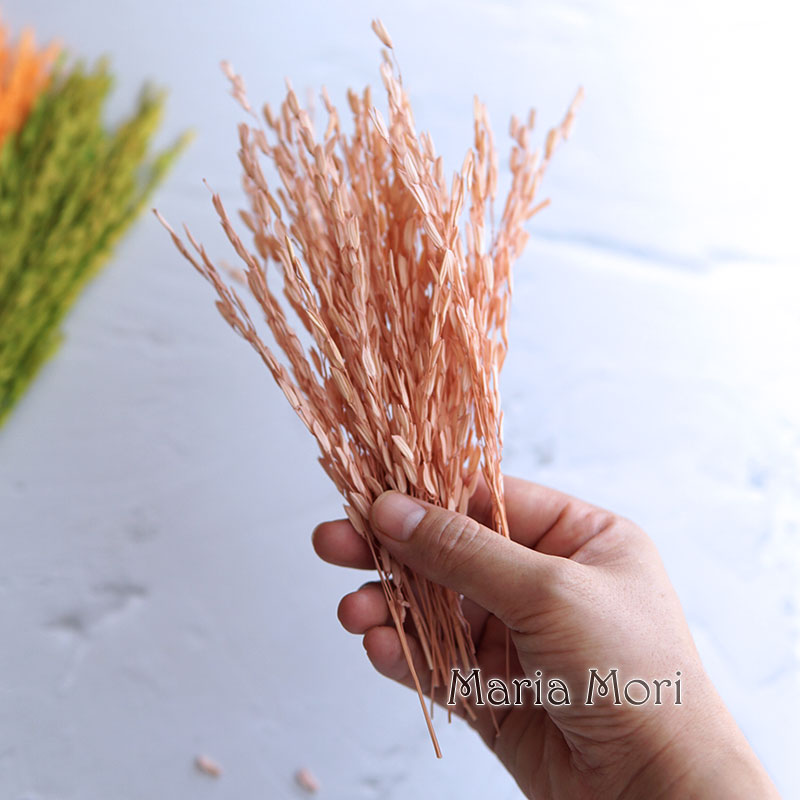 Candle Making Uk - 5g/Broomcorn Dyed Dried Nature Flowers Bleached