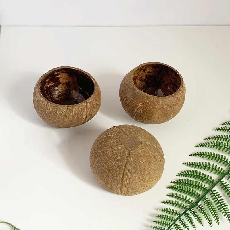 Coconut Candle Bowl Party Deco - Candle Making Homewood recension och pris