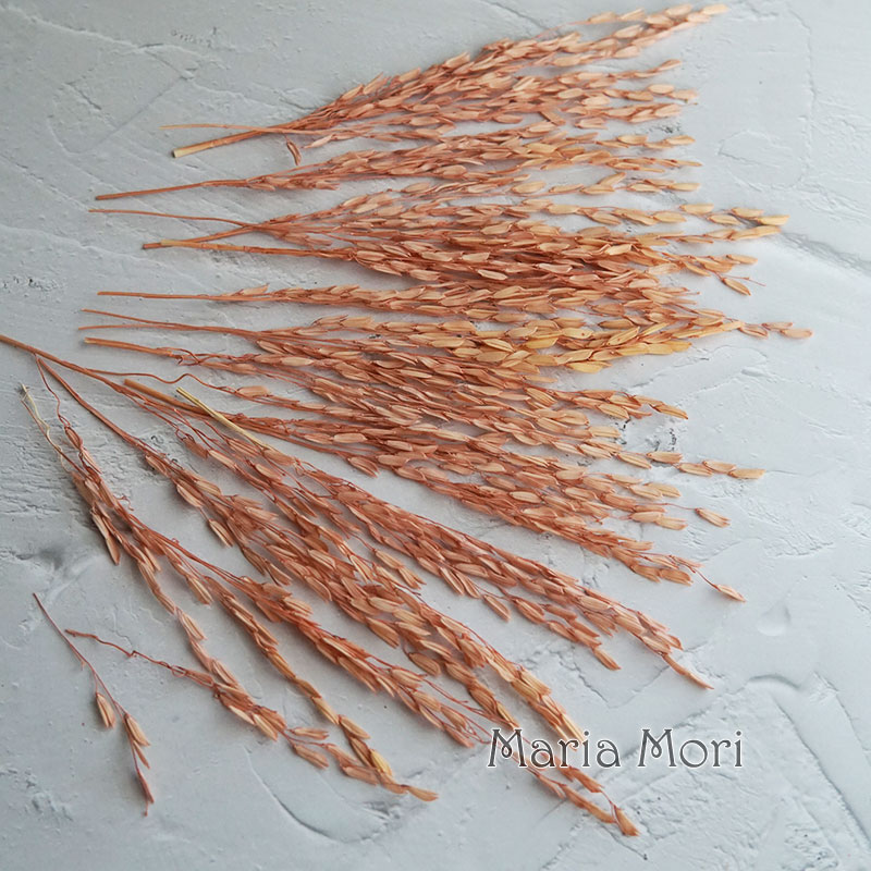 5g/Broomcorn Dyed Dried Nature - Candle Making Uk recension och pris