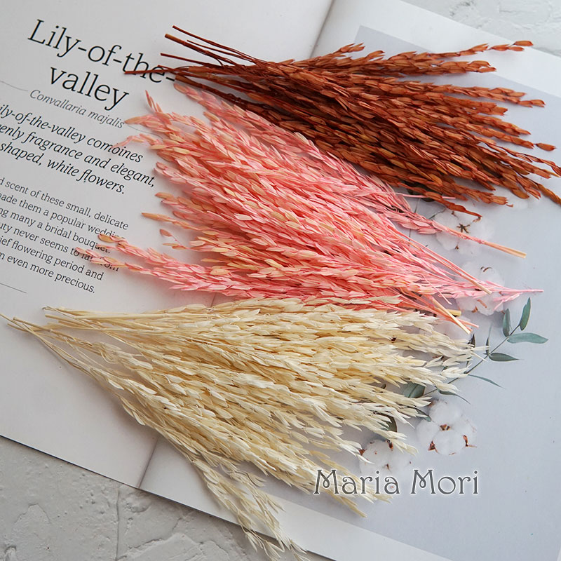 5g/Broomcorn Dyed Dried Nature - Candle Making Uk recension och pris